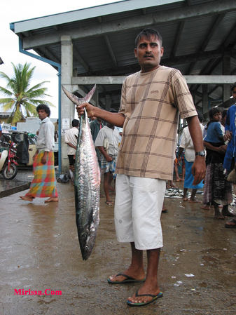 sri lanka,mirissa