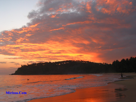 mirissa beach,sri lanka