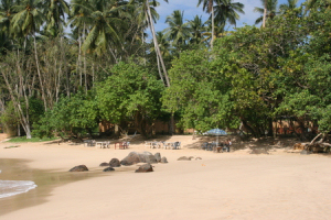 Mirissa Beach