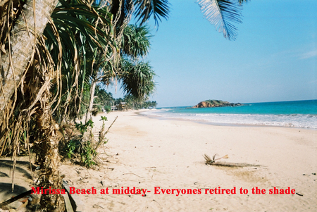 mirissa beach,sri lanka