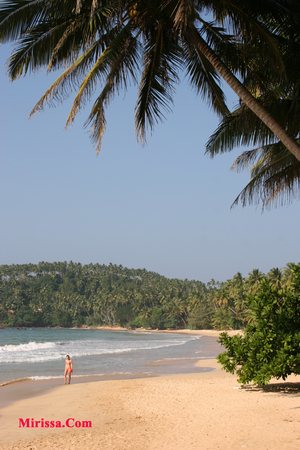 mirissa beach,sri lanka